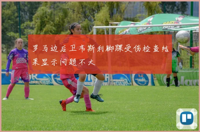 罗马边后卫韦斯利脚踝受伤检查结果显示问题不大