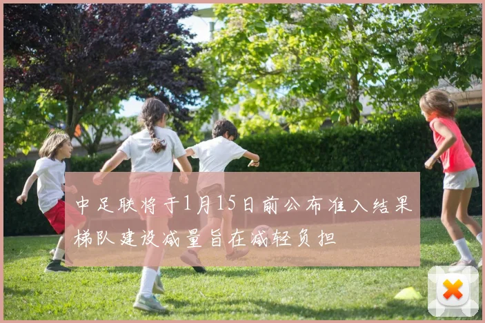 中足联将于1月15日前公布准入结果梯队建设减量旨在减轻负担